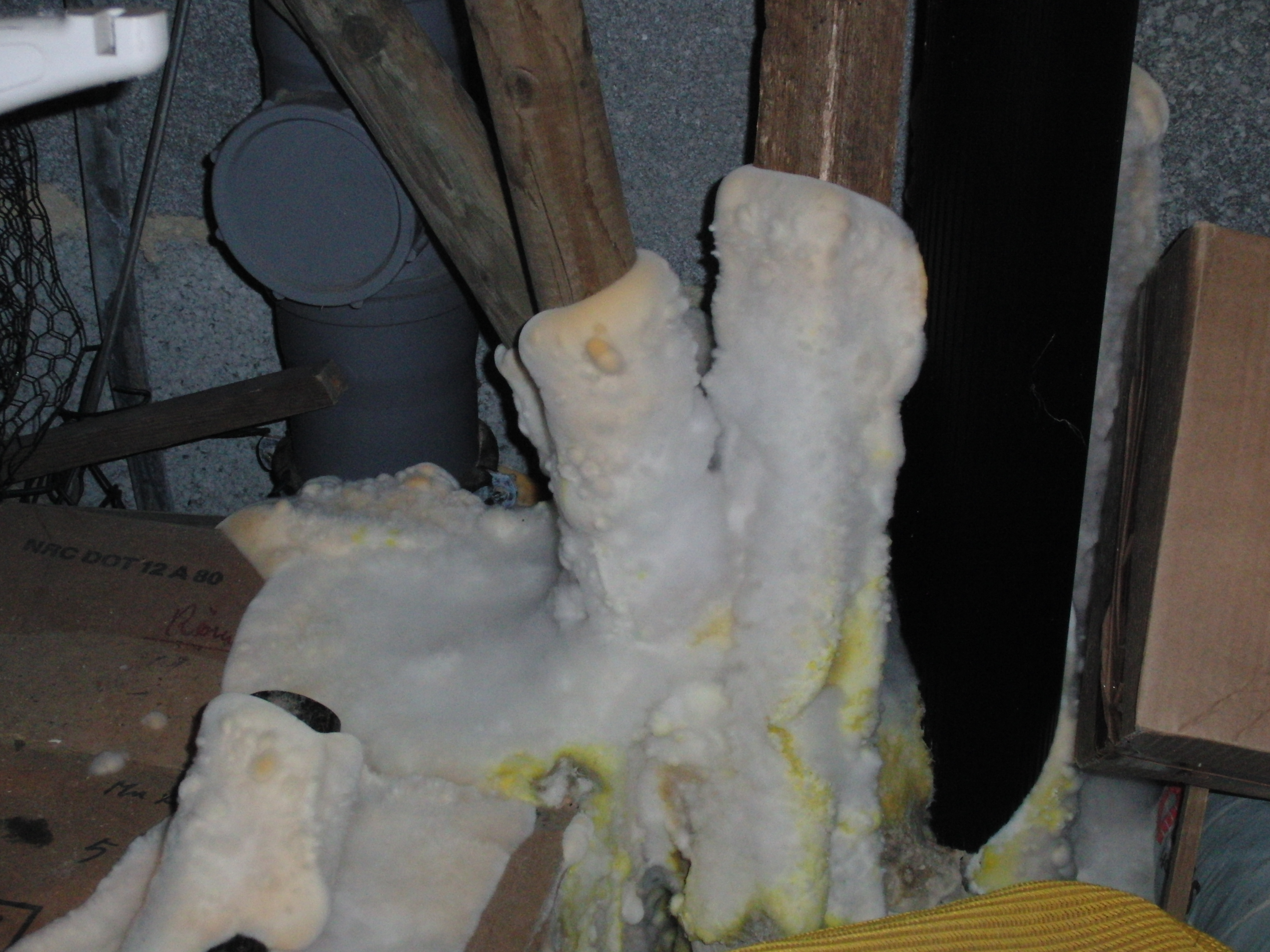 Nahaufnahme von mit Hausschwamm befallen Holzpfählen eines Kellerraumes